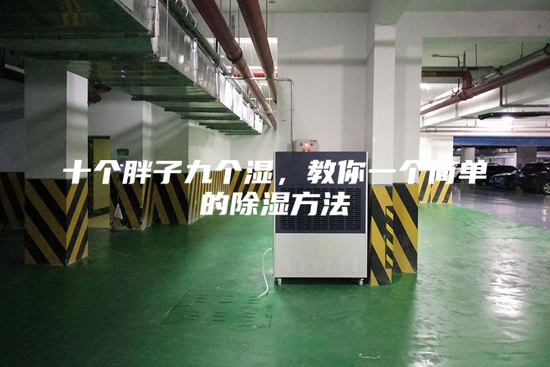十个胖子九个湿，教你一个简单的除湿方法