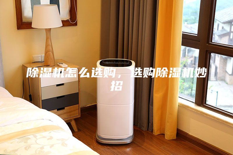 除湿机怎么选购，选购除湿机妙招