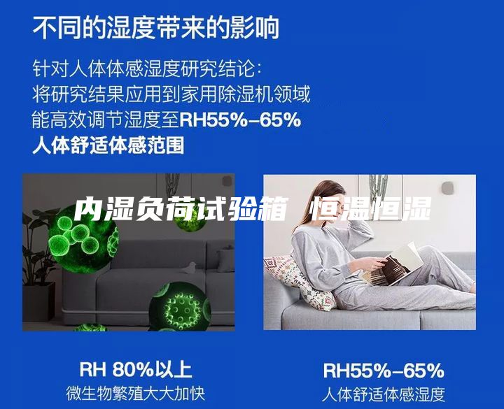 内湿负荷试验箱 恒温恒湿