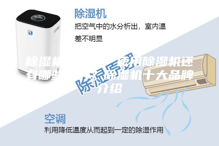 除湿机有用吗？使用除湿机还有哪些优势？除湿机十大品牌介绍