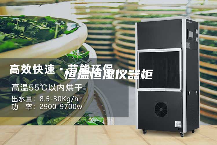 恒温恒湿仪器柜