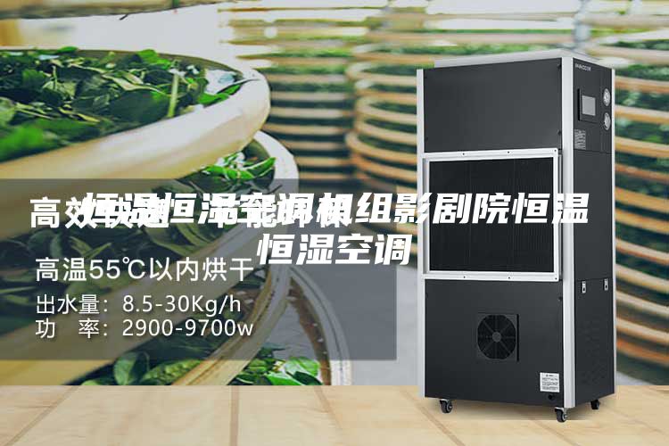恒温恒湿空调机组影剧院恒温恒湿空调