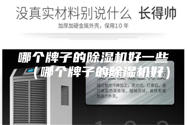 哪个牌子的除湿机好一些（哪个牌子的除湿机好）