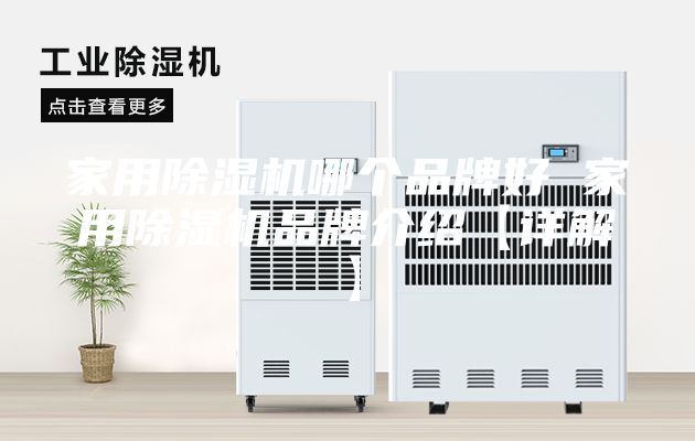 家用除湿机哪个品牌好 家用除湿机品牌介绍【详解】