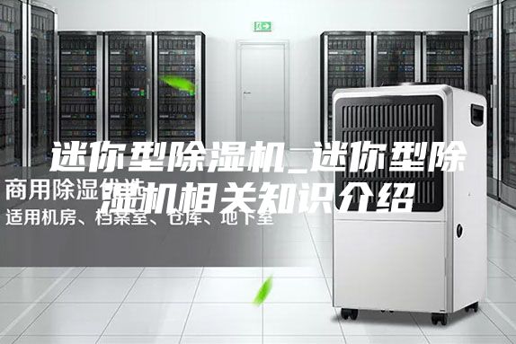 迷你型除湿机_迷你型除湿机相关知识介绍