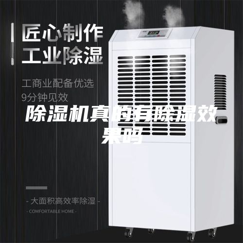 除湿机真的有除湿效果吗