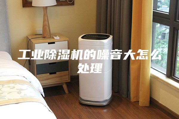 工业除湿机的噪音大怎么处理