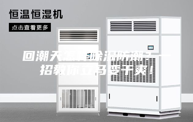 回潮天怎样除湿防潮？一招教你立马变干爽！