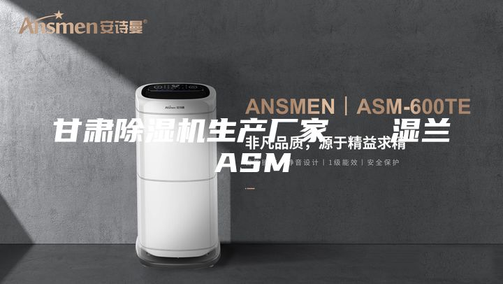 甘肃除湿机生产厂家 湿兰ASM