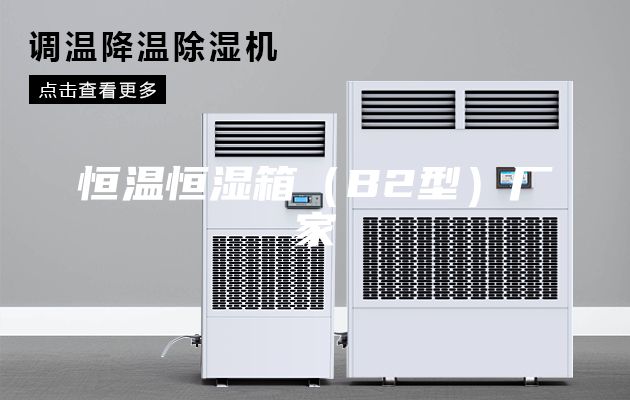 恒温恒湿箱（B2型）厂家
