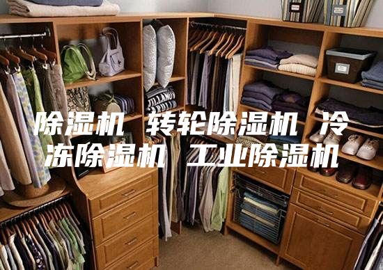 除湿机 转轮除湿机 冷冻除湿机 工业除湿机