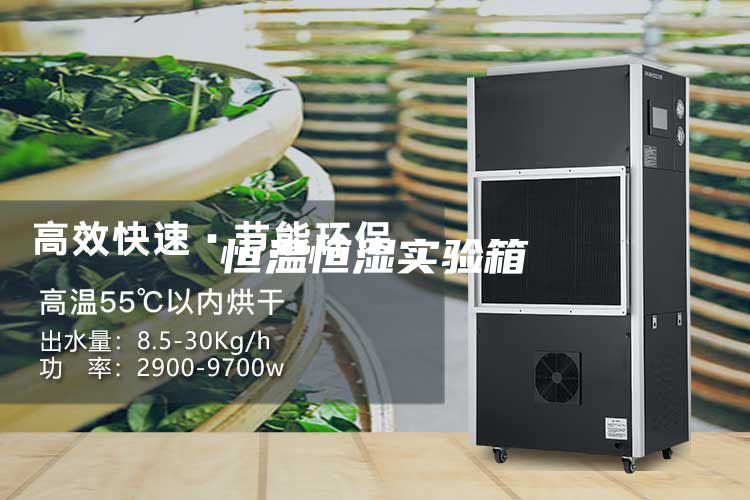 恒温恒湿实验箱