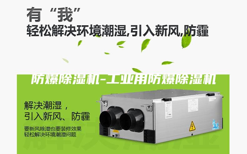 防爆除湿机-工业用防爆除湿机