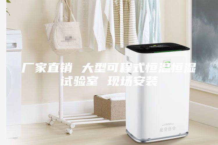 厂家直销 大型可程式恒温恒湿试验室 现场安装