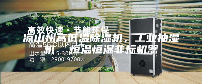 凉山州高低温除湿机，工业抽湿机  恒温恒湿非标机器