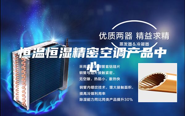 恒温恒湿精密空调产品中心