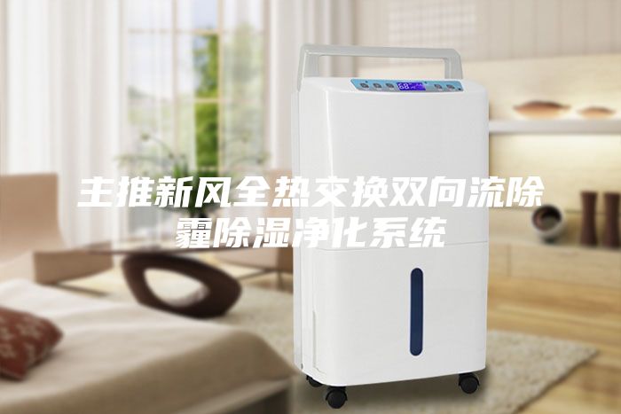 主推新风全热交换双向流除霾除湿净化系统