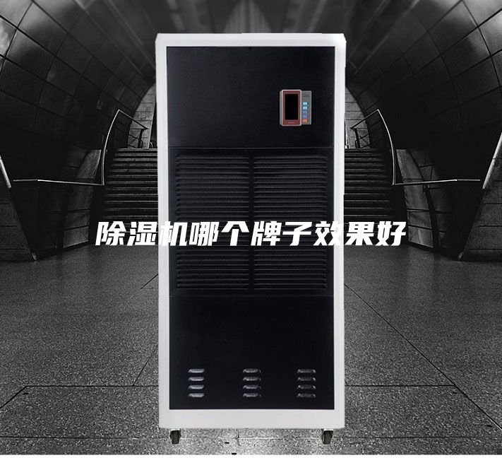除湿机哪个牌子效果好