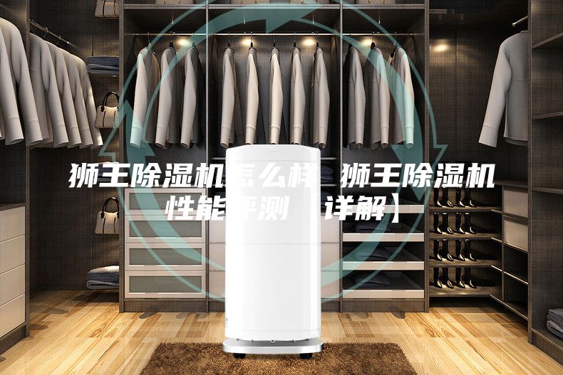狮王除湿机怎么样 狮王除湿机性能评测【详解】
