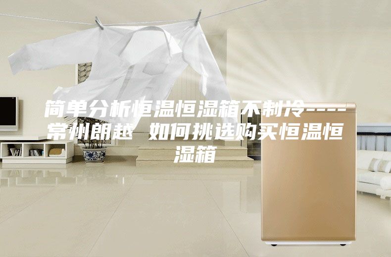 简单分析恒温恒湿箱不制冷----常州朗越 如何挑选购买恒温恒湿箱