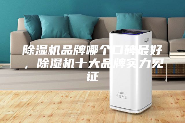 除湿机品牌哪个口碑最好，除湿机十大品牌实力见证