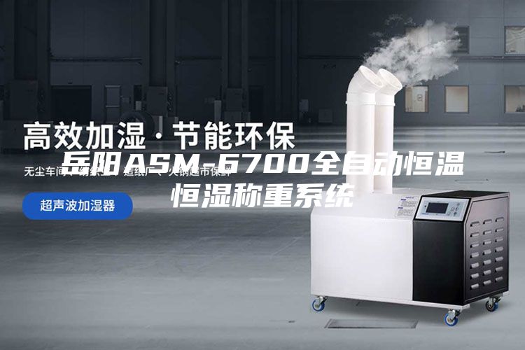 岳阳ASM-6700全自动恒温恒湿称重系统