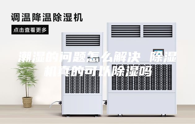潮湿的问题怎么解决 除湿机真的可以除湿吗