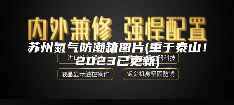 苏州氮气防潮箱图片(重于泰山！2023已更新)