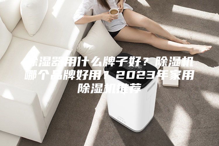 除湿器用什么牌子好？除湿机哪个品牌好用？2023年家用除湿机推荐