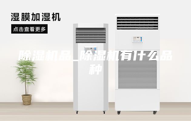 除湿机品_除湿机有什么品种