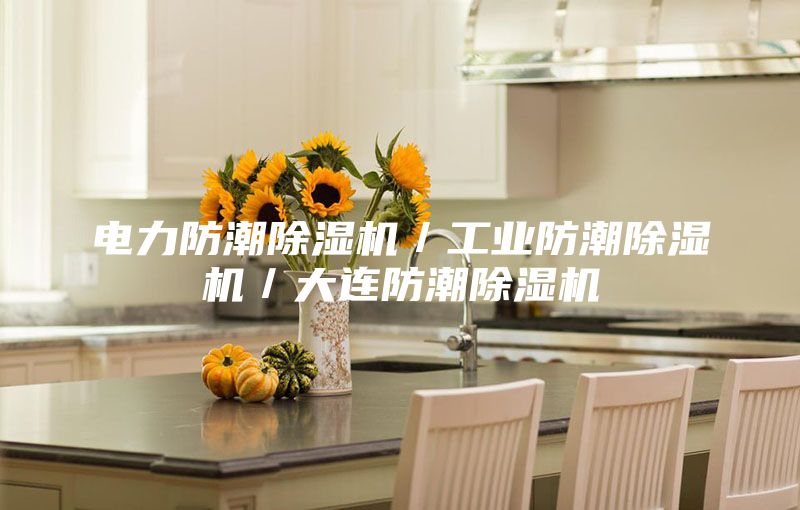 电力防潮除湿机／工业防潮除湿机／大连防潮除湿机