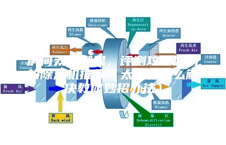 房间太过潮湿，评测攻略好用的除湿机推荐（太潮湿怎么解决教你妙招办法）