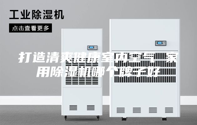 打造清爽健康室内空气 家用除湿机哪个牌子好