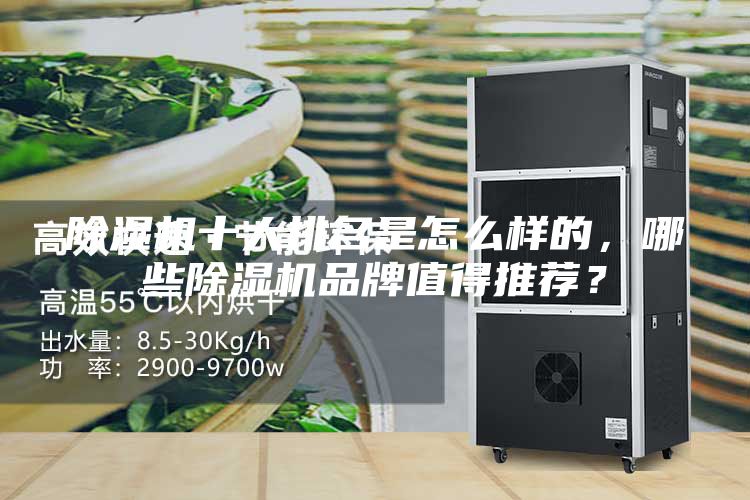 除湿机十大排名是怎么样的，哪些除湿机品牌值得推荐？