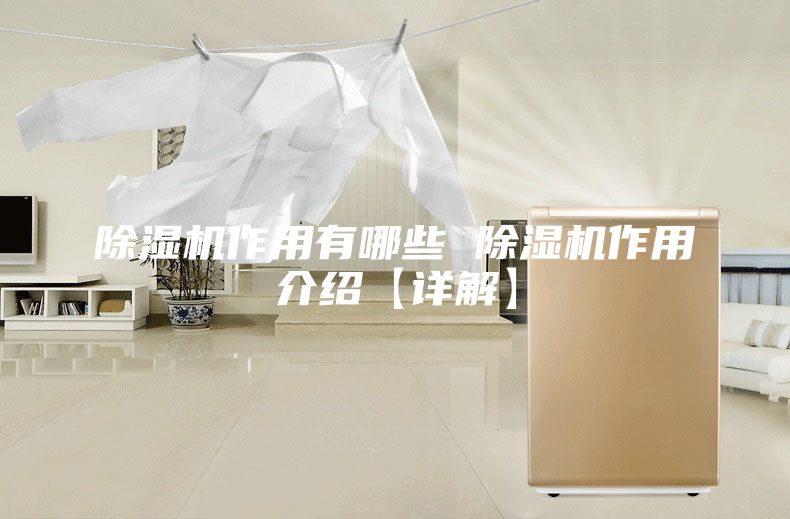除湿机作用有哪些 除湿机作用介绍【详解】