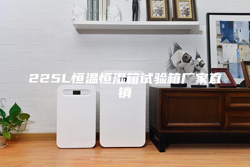 225L恒温恒湿箱试验箱厂家直销