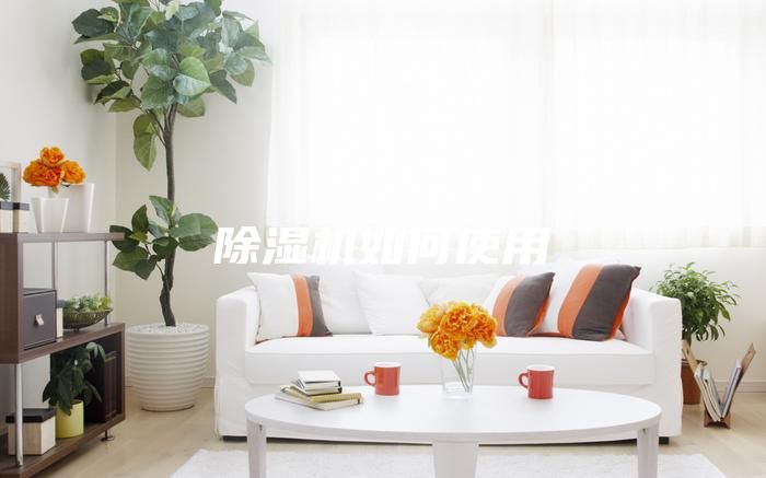 除湿机如何使用