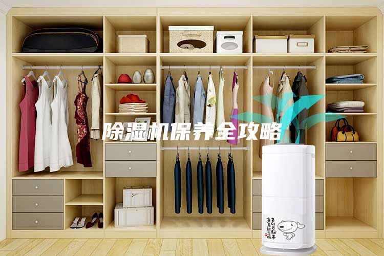 除湿机保养全攻略