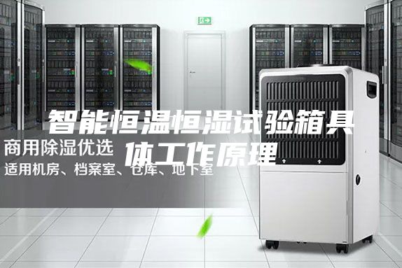 智能恒温恒湿试验箱具体工作原理
