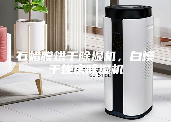 石蜡膜烘干除湿机，白模干燥房除湿机