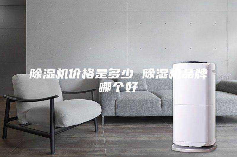 除湿机价格是多少 除湿机品牌哪个好