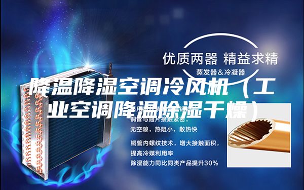 降温降湿空调冷风机（工业空调降温除湿干燥）