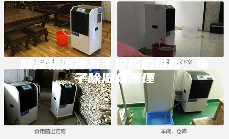 除湿机原理与主控板的维修，电子除湿机原理