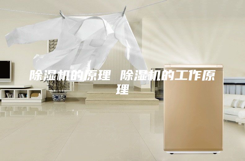 除湿机的原理 除湿机的工作原理