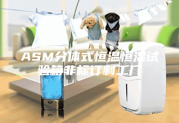 ASM分体式恒温恒湿试验箱非标订制工厂