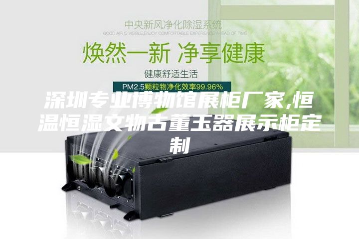 深圳专业博物馆展柜厂家,恒温恒湿文物古董玉器展示柜定制