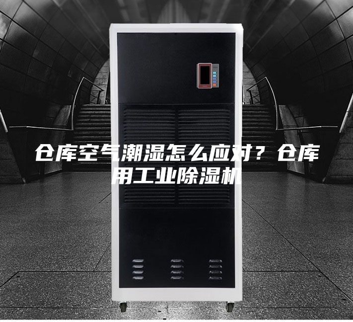 仓库空气潮湿怎么应对？仓库用工业除湿机