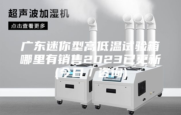 广东迷你型高低温试验箱哪里有销售2023已更新(今日／咨询)