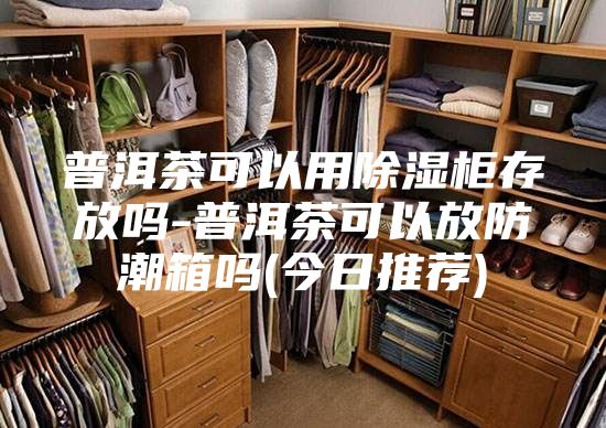 普洱茶可以用除湿柜存放吗-普洱茶可以放防潮箱吗(今日推荐)