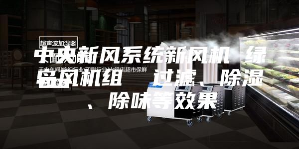 中央新风系统新风机 绿岛风机组  过滤、除湿、除味等效果